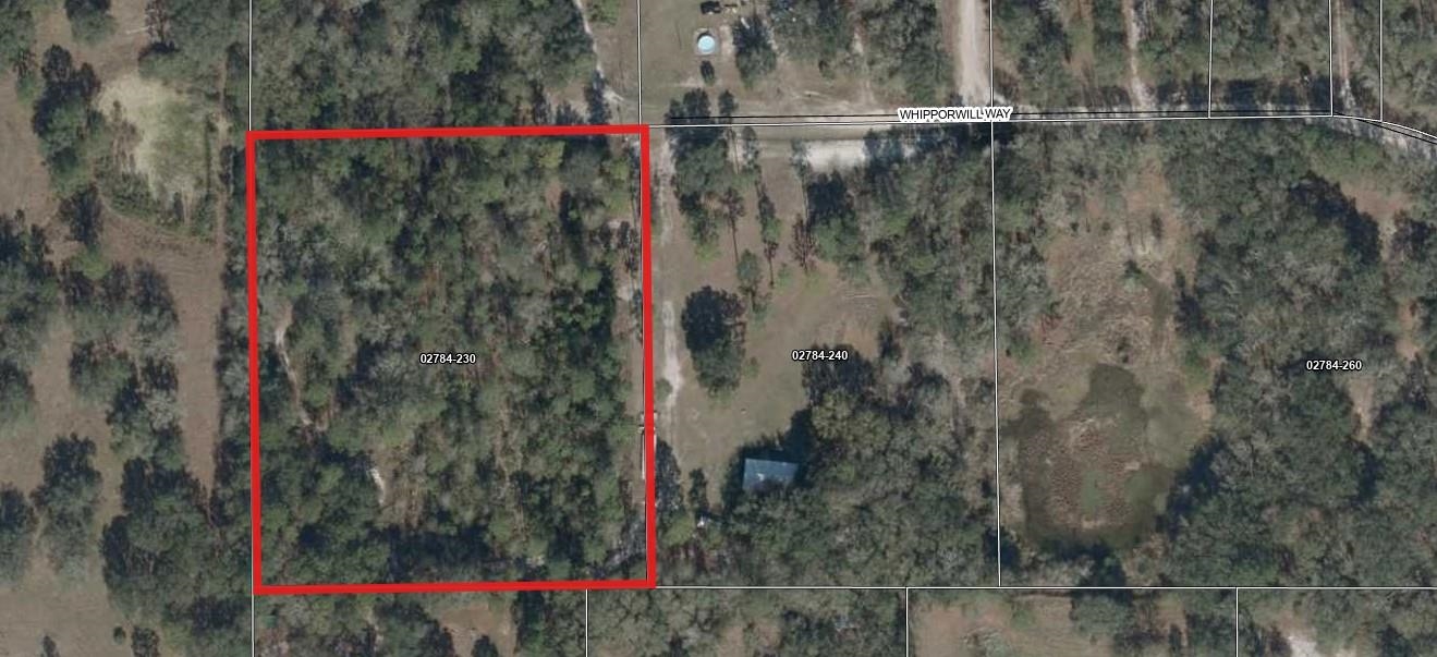 7659 Whipporwill Way Perry, FL 32347 - Photo 5 of 5