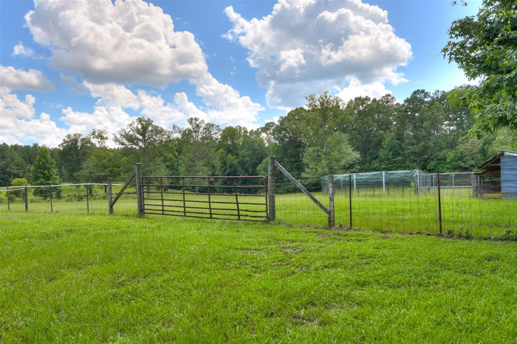 3855 Washington Road Thomson, GA 30824 - Photo 54 of 72 Inside animal fenced in area