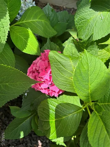 $399,000 | 407 Ahr Strom Drive, Owensville, MO 65066