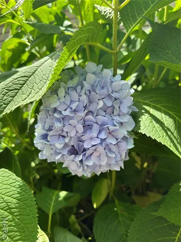 $399,000 | 407 Ahr Strom Drive, Owensville, MO 65066