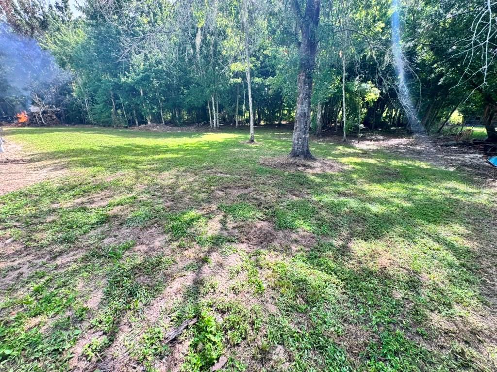 3904 Cork Road Plant City, FL 33563 - Photo 5 of 13