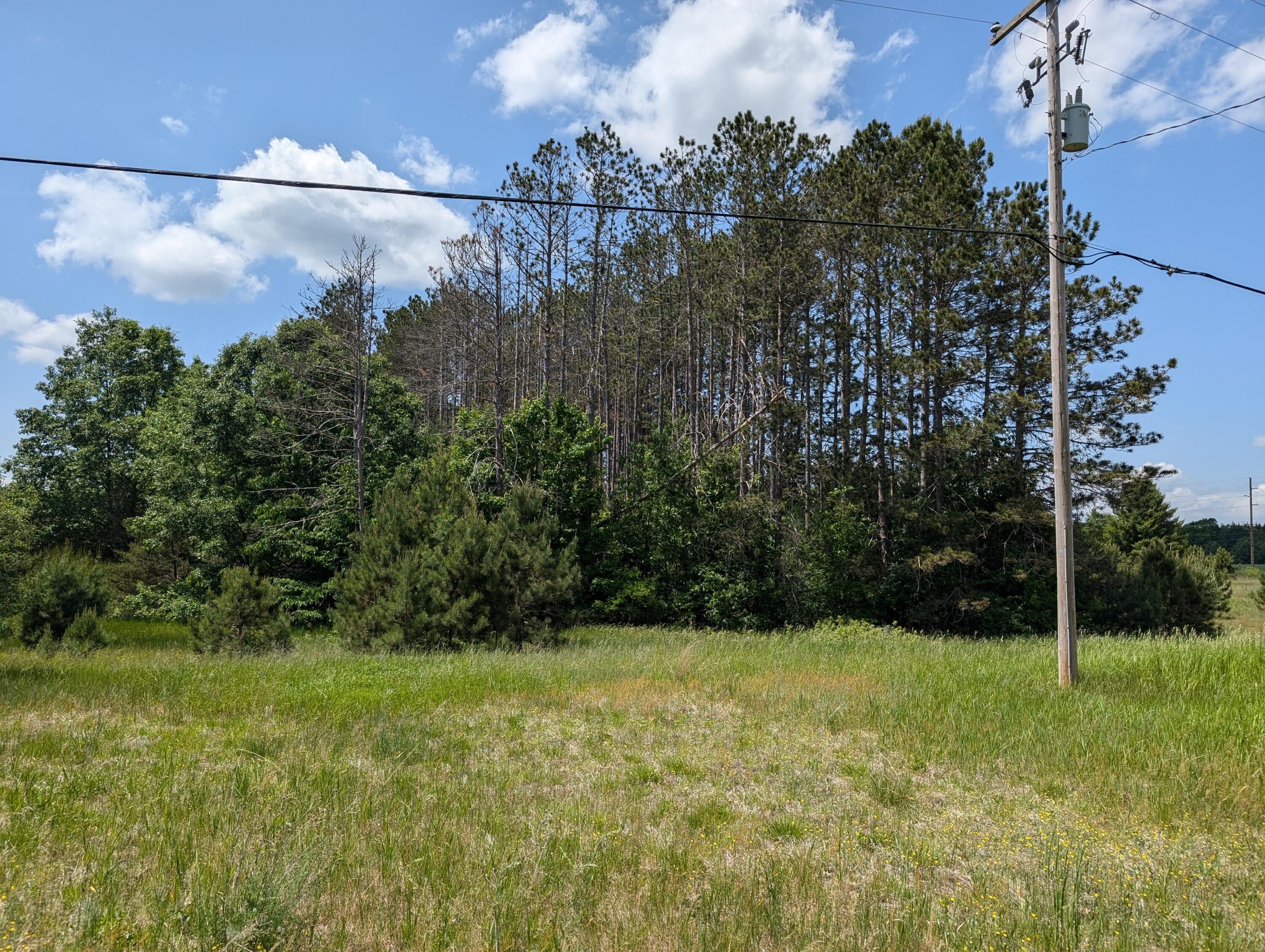 3090 South 37 Road Cadillac, MI 49601 - Photo 33 of 52 PXL_20250617_181152150