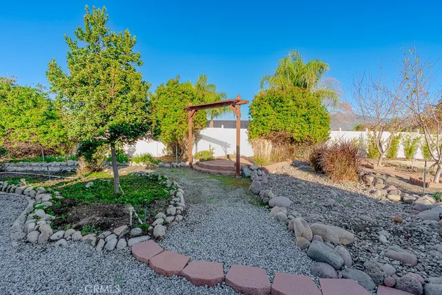 a view of a backyard with plants and a lawn chairs