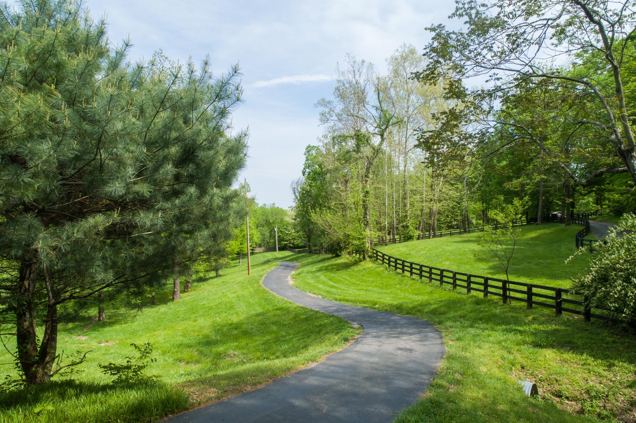 788 High Point Ridge Road Franklin, TN 37069 - Photo 2 of 30 a view of a park with large trees