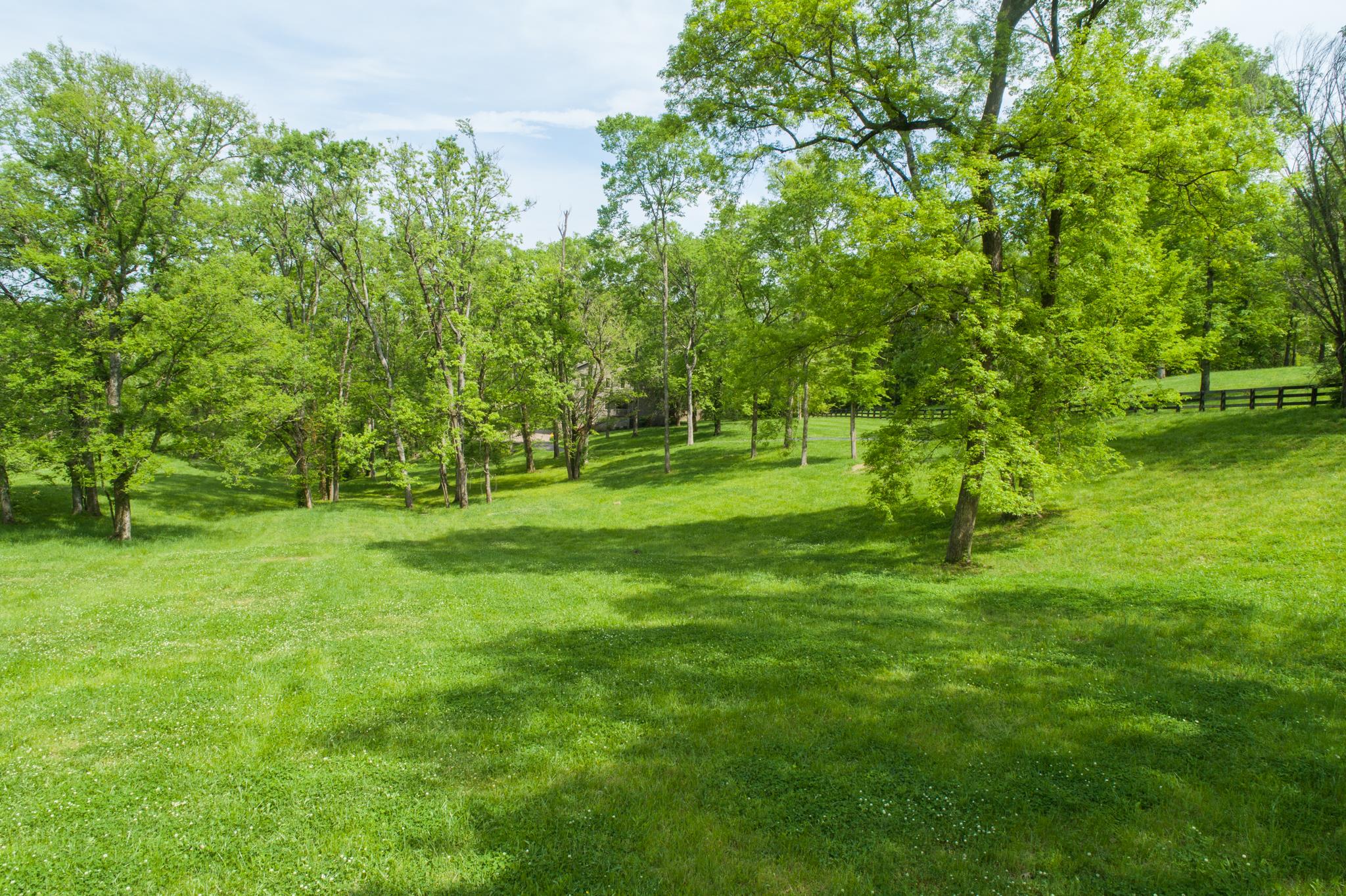 788 High Point Ridge Road Franklin, TN 37069 - Photo 4 of 30 a view of field with trees in the background