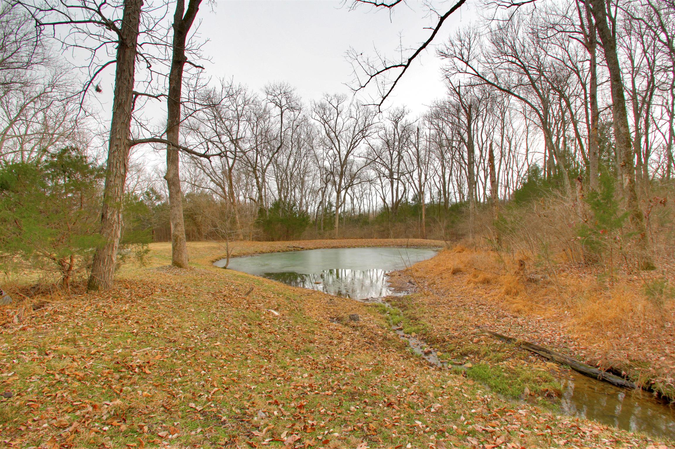 788 High Point Ridge Road Franklin, TN 37069 - Photo 10 of 30 a view of lake with trees