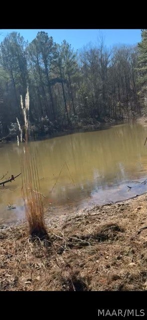 40 West County Road Billingsley, AL 36006 - Photo 27 of 36 Gallery Image 27