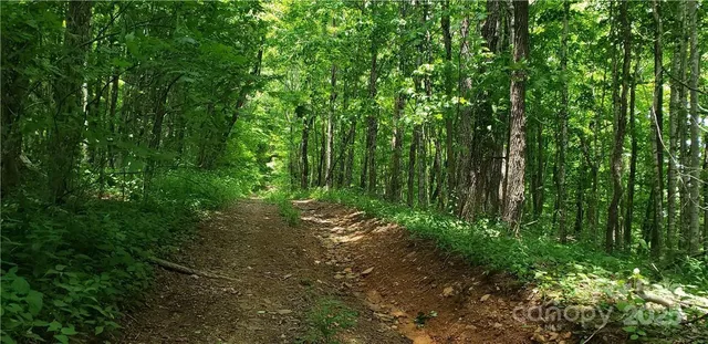 a backyard of a house with lots of green space and trees in the back
