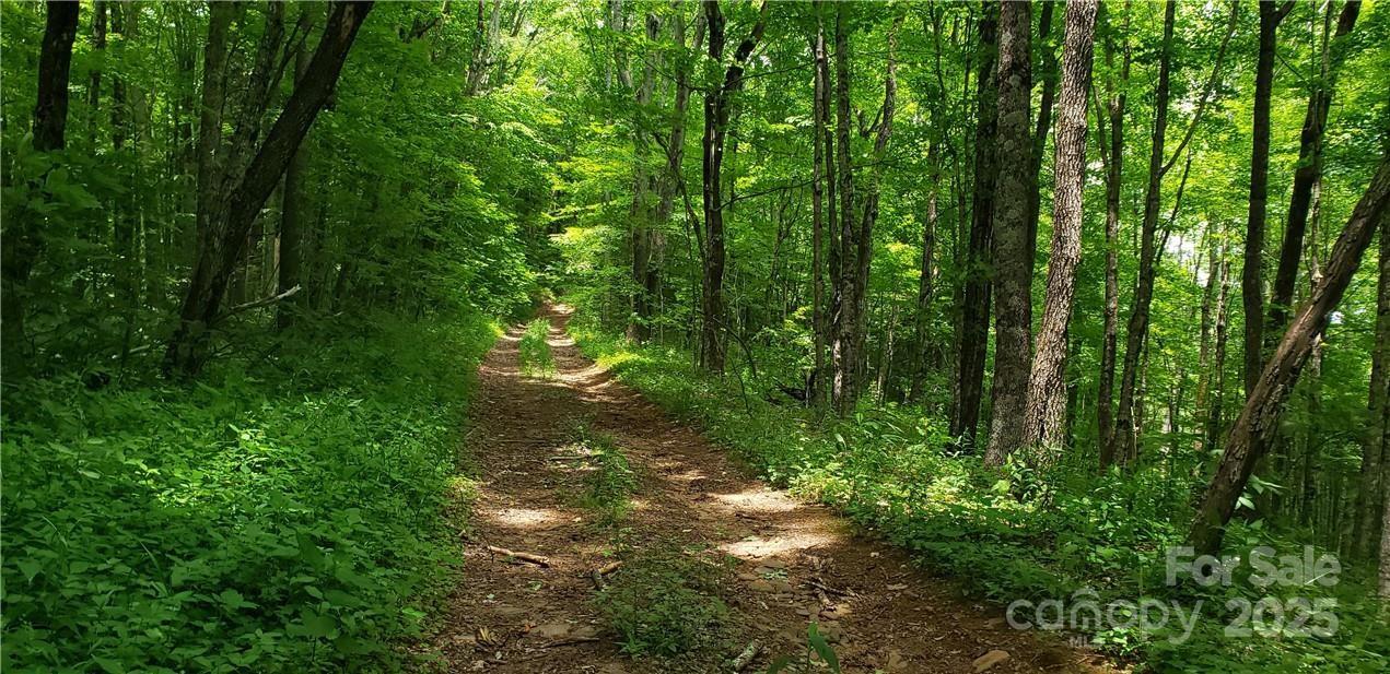 0 Cow Camp Road Newland, NC 28657 - Photo 15 of 19 a backyard of a house with lots of green space and trees in the back