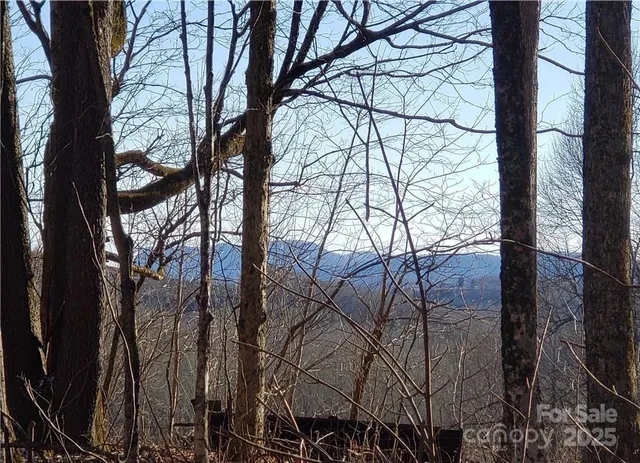 a view of a backyard of the house