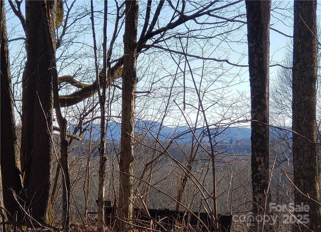 0 Cow Camp Road Newland, NC 28657 - Photo 16 of 19 a view of tree