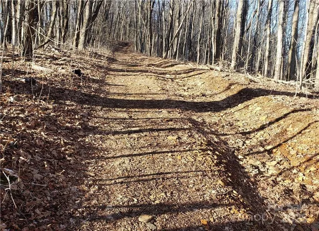a view of a backyard of the house