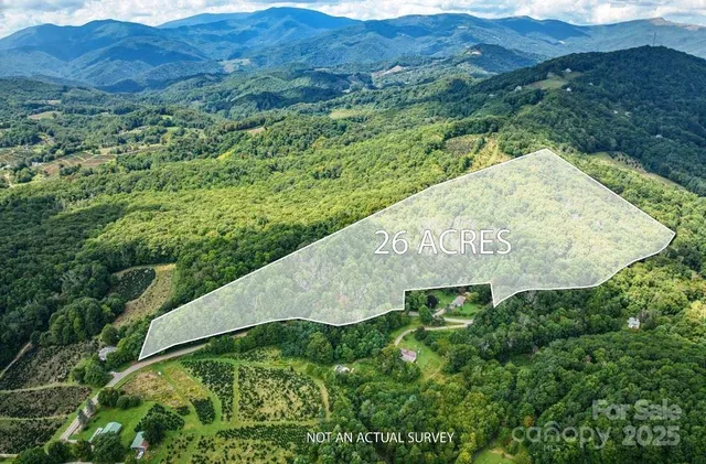 a view of a lush green field with lots of bushes