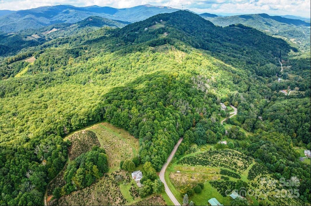 0 Cow Camp Road Newland, NC 28657 - Photo 5 of 19 a view of a lush green forest with lots of trees