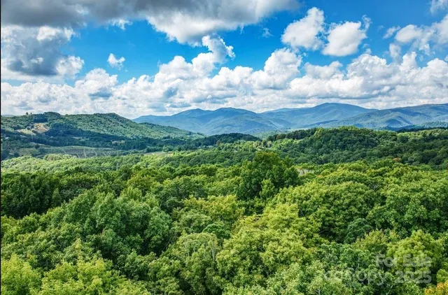 a view of a big yard with lots of green space