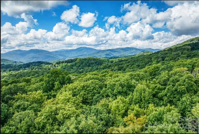 a view of a bunch of trees