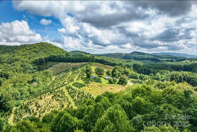 a view of a field with plants and trees in the background