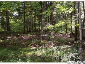 0 Marsh Road Blossvale, NY 13308 - Photo 3 of 6