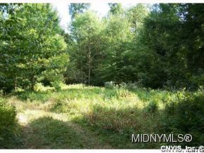 0 Marsh Road Blossvale, NY 13308 - Photo 4 of 6