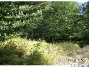 0 Marsh Road Blossvale, NY 13308 - Photo 5 of 6
