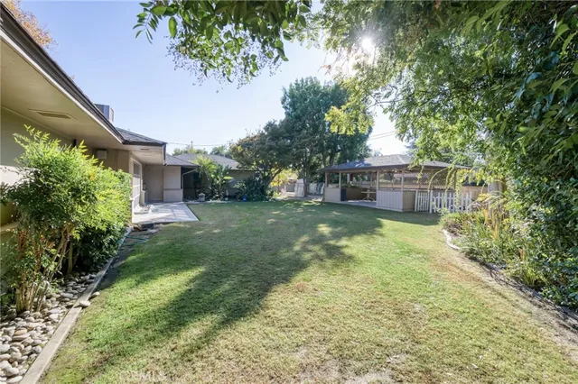 a view of a yard with plants and a large tree
