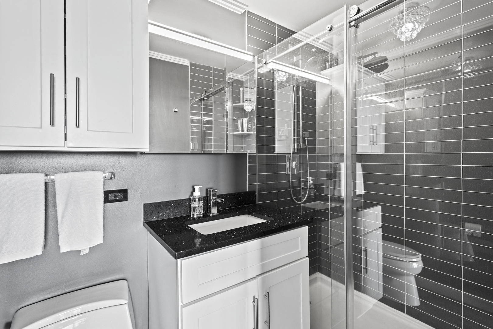 655 West Irving Park Road, Unit 4717 Chicago, IL 60613 - Photo 16 of 29 Gallery Image 16