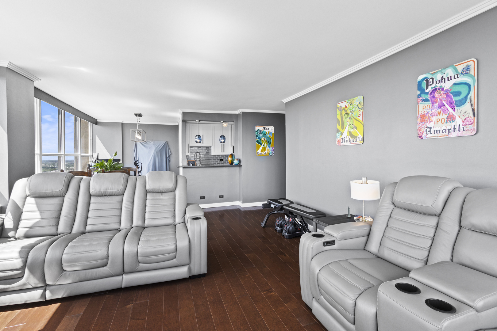 655 West Irving Park Road, Unit 4717 Chicago, IL 60613 - Photo 6 of 29 Gallery Image 6