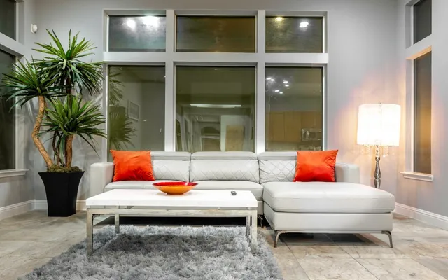 a living room with furniture and a potted plant
