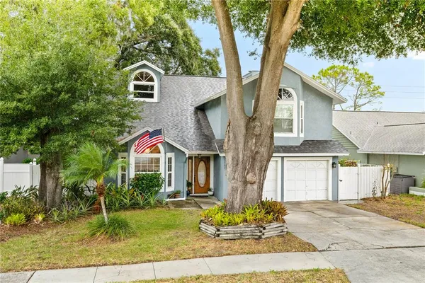 $3,500 | 3031 Pine Forest Drive, Palm Harbor, FL 34684