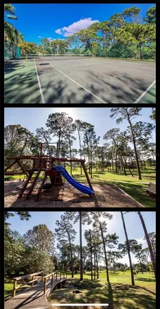 $3,500 | 3031 Pine Forest Drive, Palm Harbor, FL 34684