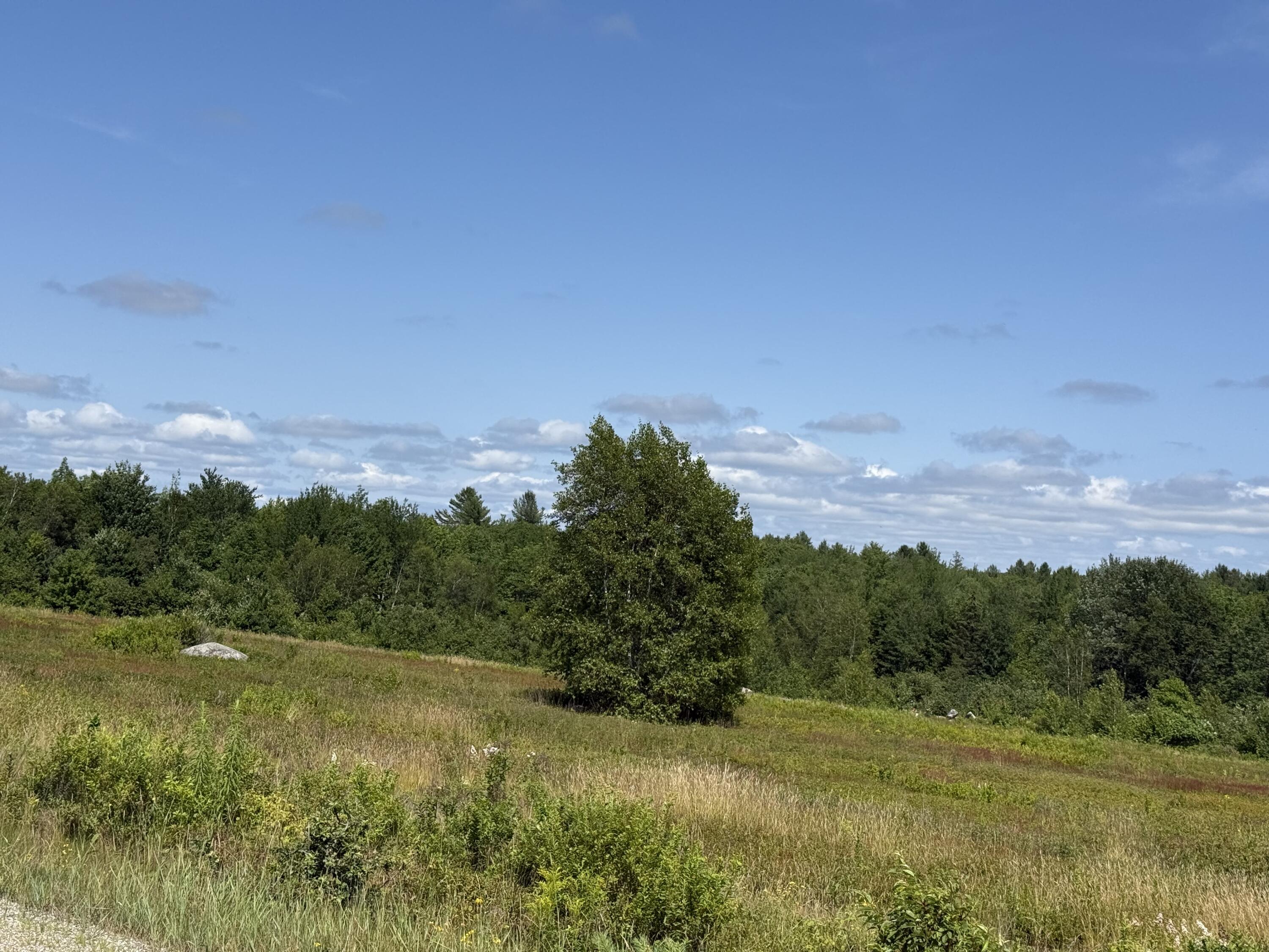 199 Rte Penobscot Me 04476 Route Penobscot, ME 04476 - Photo 24 of 37 MAP13LOT21 Route 199