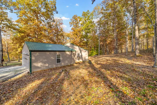 a close up of a plant