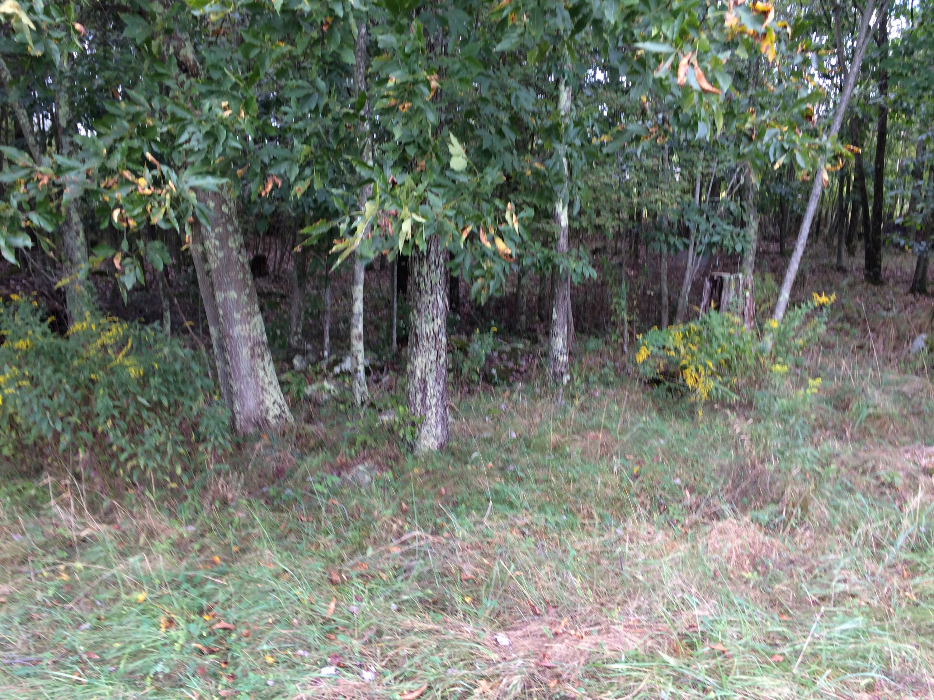 12526 Backus Road Meadow Bridge, WV 25976 - Photo 12 of 28 Gallery Image 12