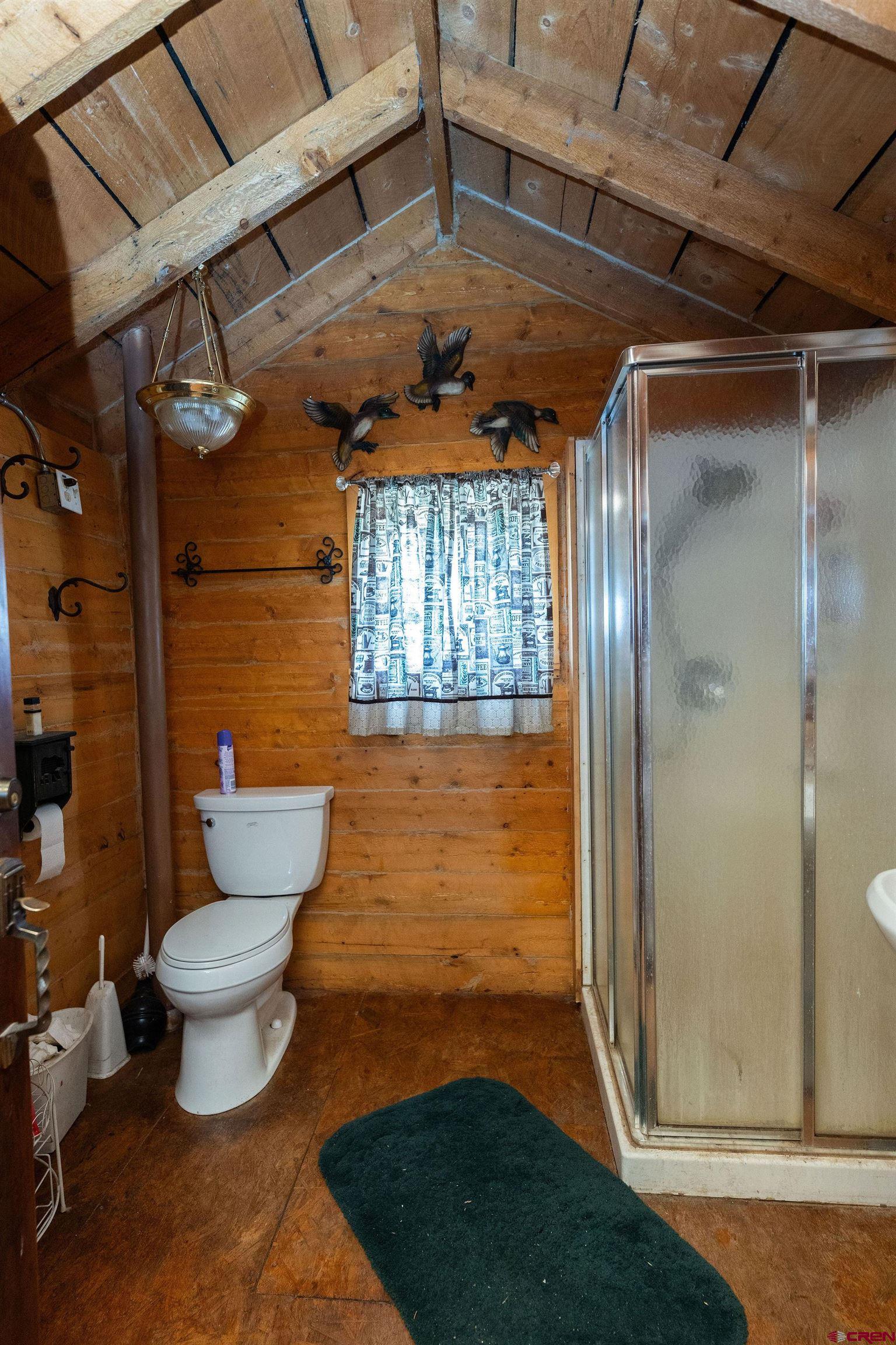 4650 Usfs Rd 516 Creede, CO 81130 - Photo 14 of 33 a bathroom with a toilet and a shower