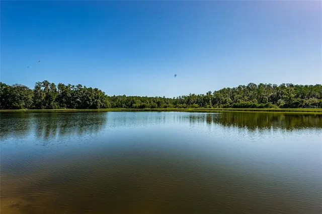a view of a park with swings and slides