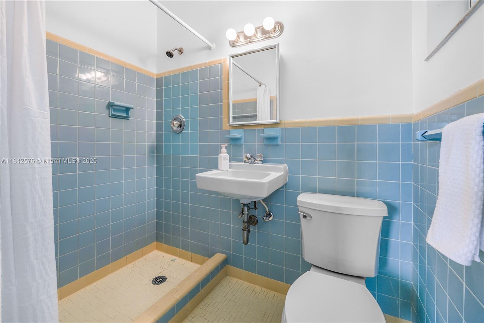 16921 Southwest 302nd Terrace Homestead, FL 33030 - Photo 10 of 14 a bathroom with a sink a toilet a mirror and shower