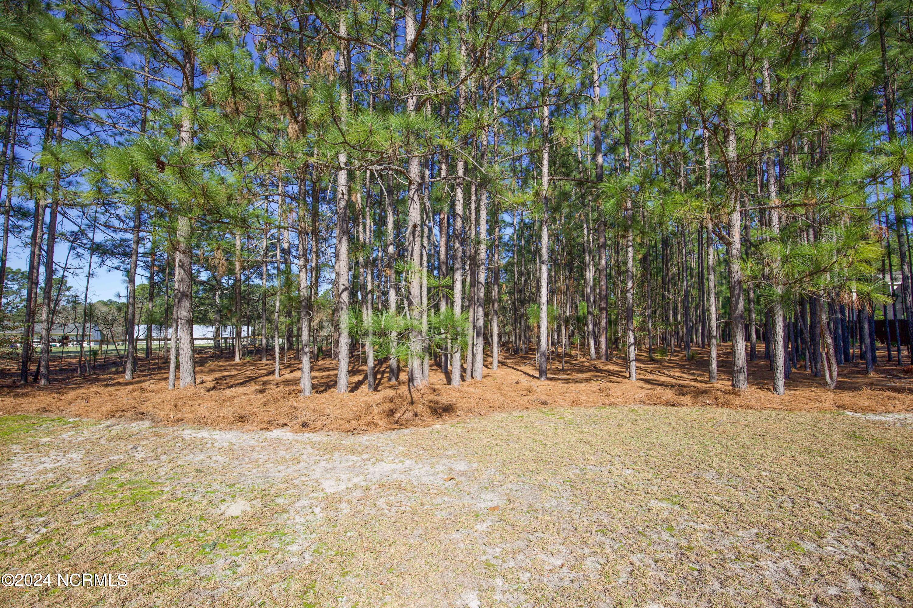 1322 Linden Road Aberdeen, NC 28315 - Photo 44 of 46 1322 Linden Rd-11