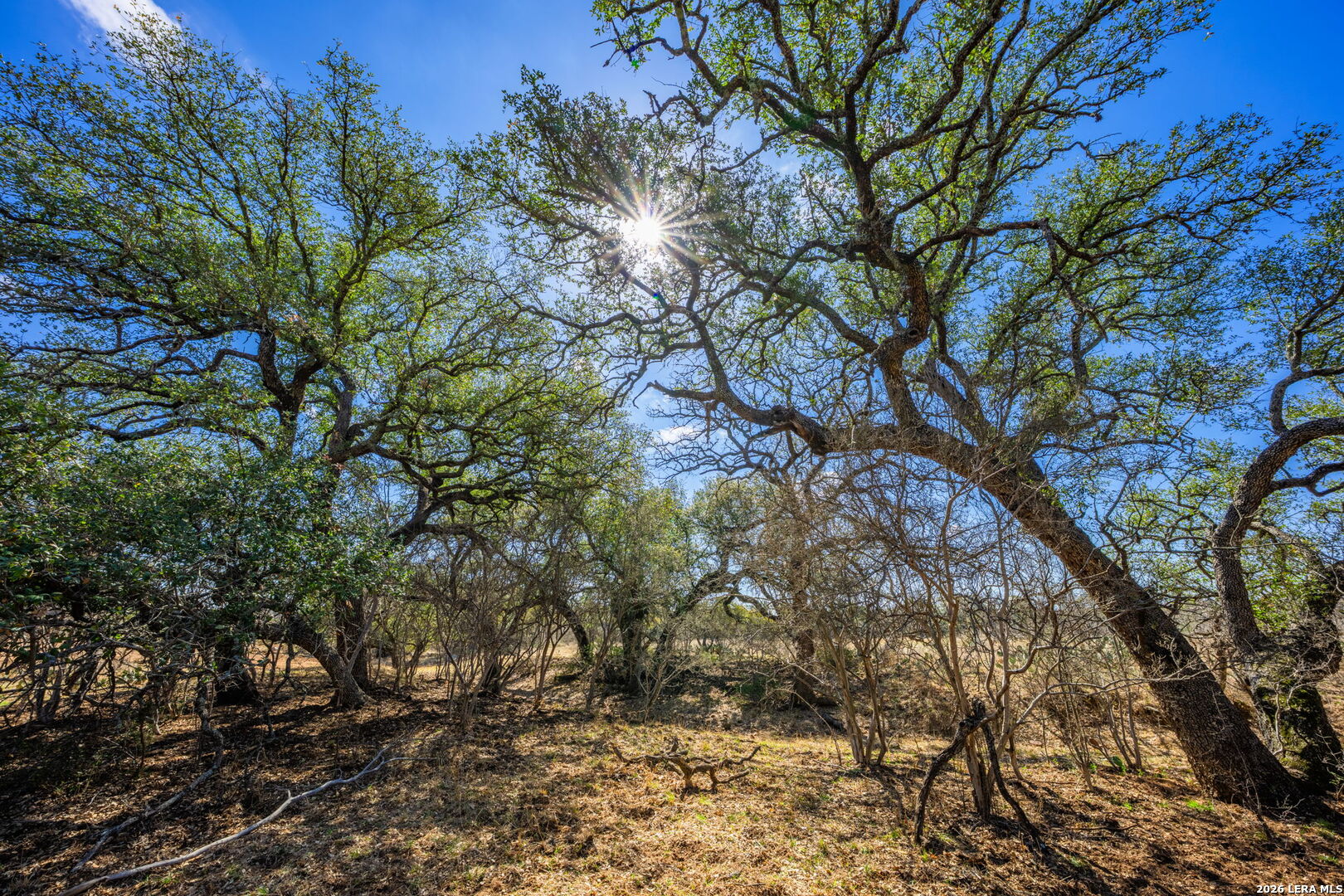 3722 Ranch Road 2241 Llano, TX 78643 - Photo 31 of 41 a backyard of a house
