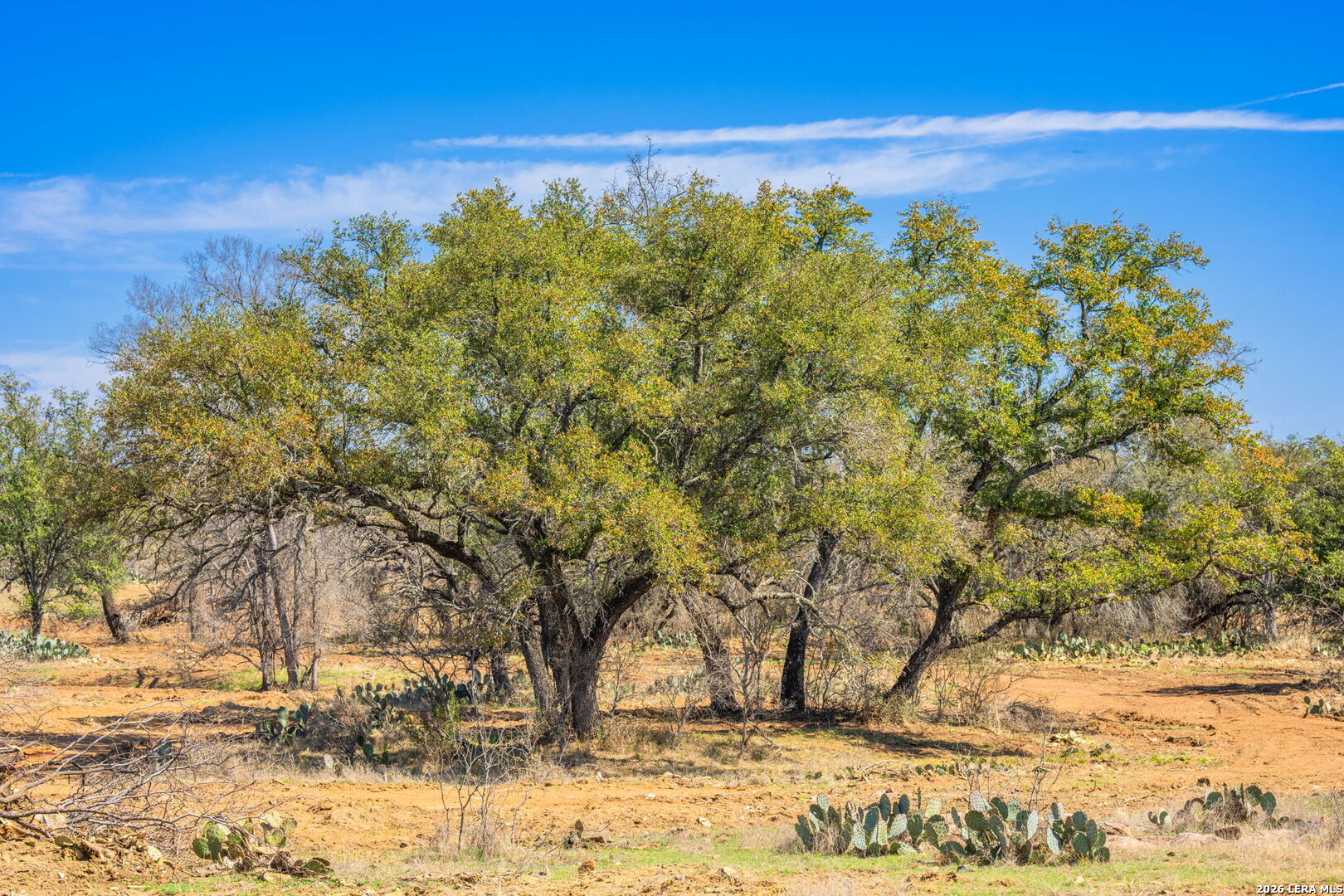 3722 Ranch Road 2241 Llano, TX 78643 - Photo 34 of 41 a view of yard covered with snow