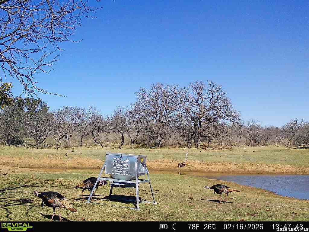 3722 Ranch Road 2241 Llano, TX 78643 - Photo 37 of 41 a view of a lake with a yard
