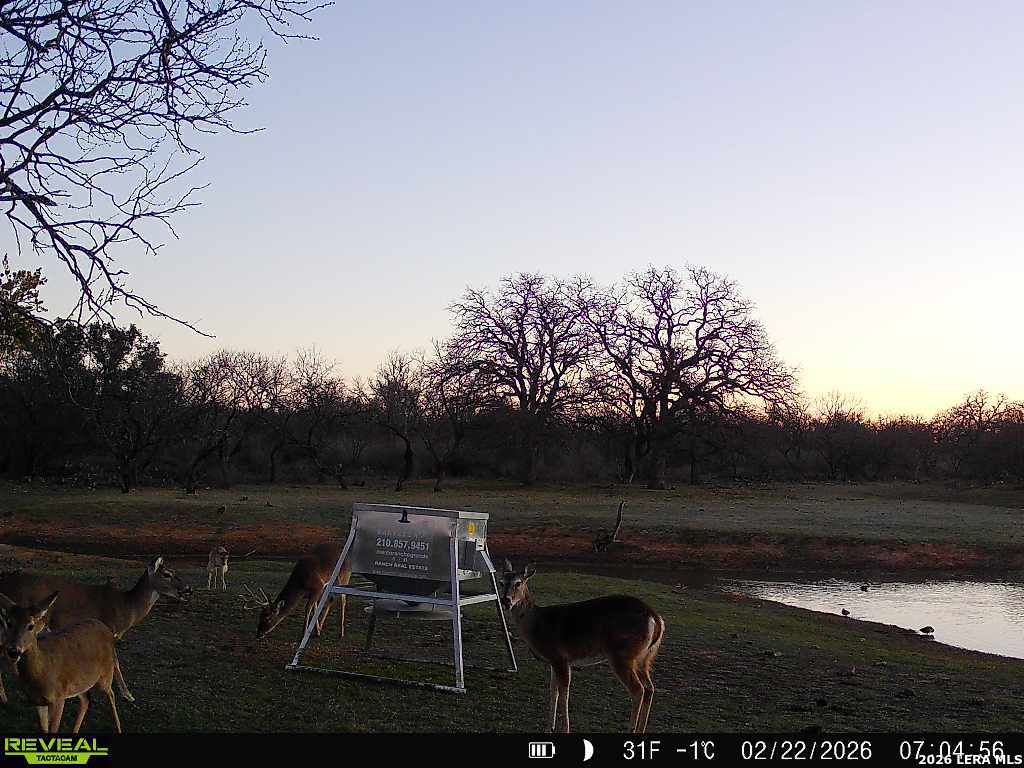 3722 Ranch Road 2241 Llano, TX 78643 - Photo 38 of 41 a view of a yard with mountain view