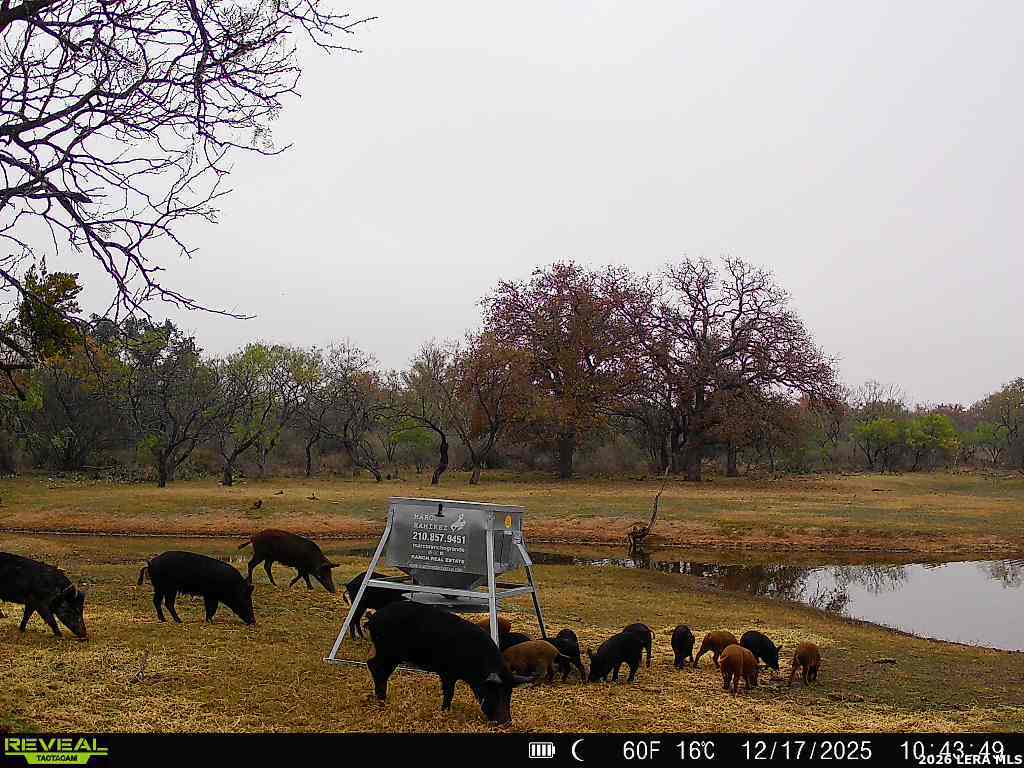 3722 Ranch Road 2241 Llano, TX 78643 - Photo 40 of 41 a view of a lake with outside space