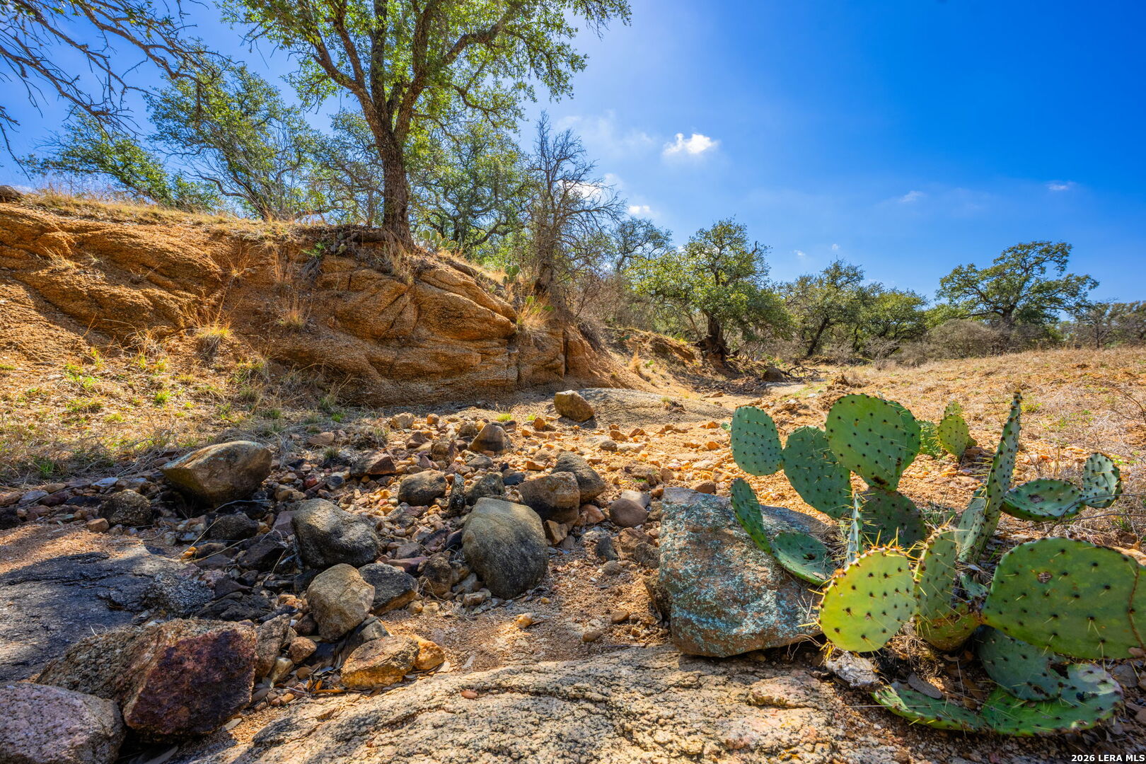 3722 Ranch Road 2241 Llano, TX 78643 - Photo 6 of 41 a view of a yard with plants and large trees
