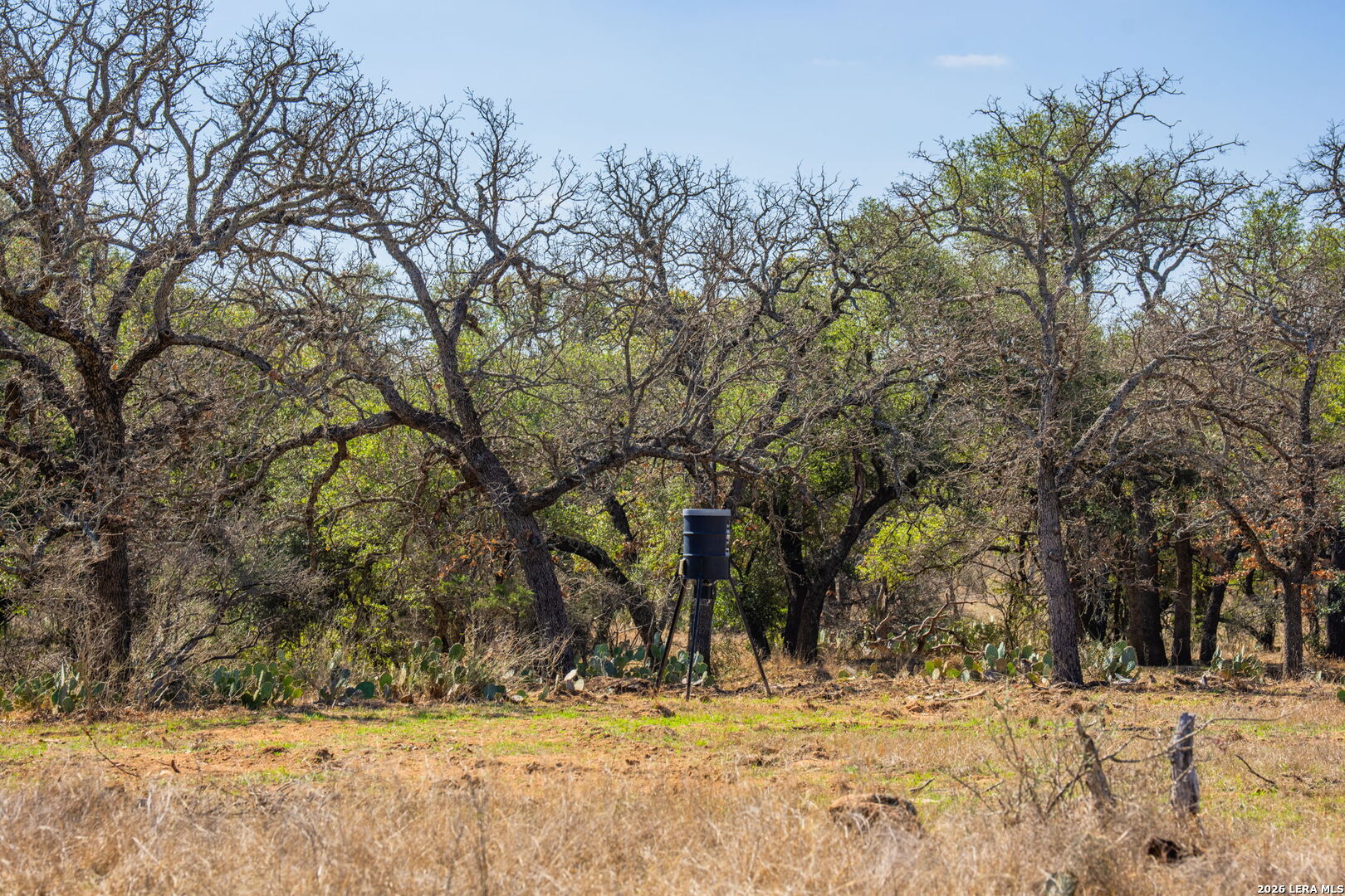 3722 Ranch Road 2241 Llano, TX 78643 - Photo 8 of 41 a view of snow on the yard