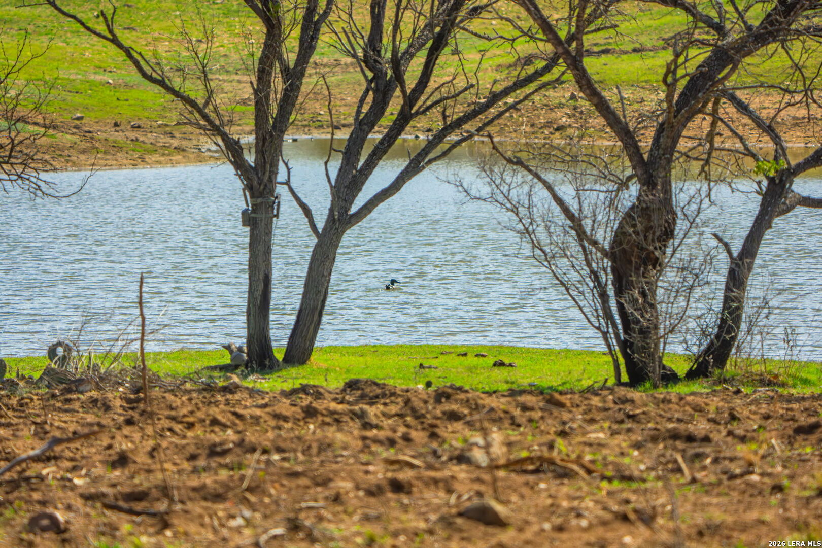 3722 Ranch Road 2241 Llano, TX 78643 - Photo 9 of 41 a view of a backyard with plants and large tree