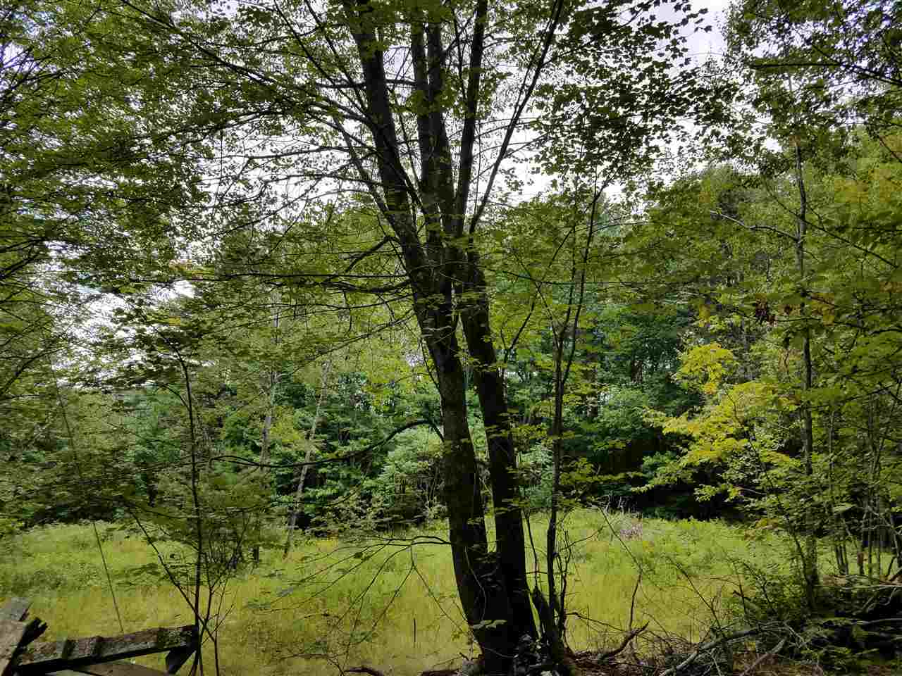 79 Mountain View Road Lempster, NH 03605 - Photo 1 of 17
