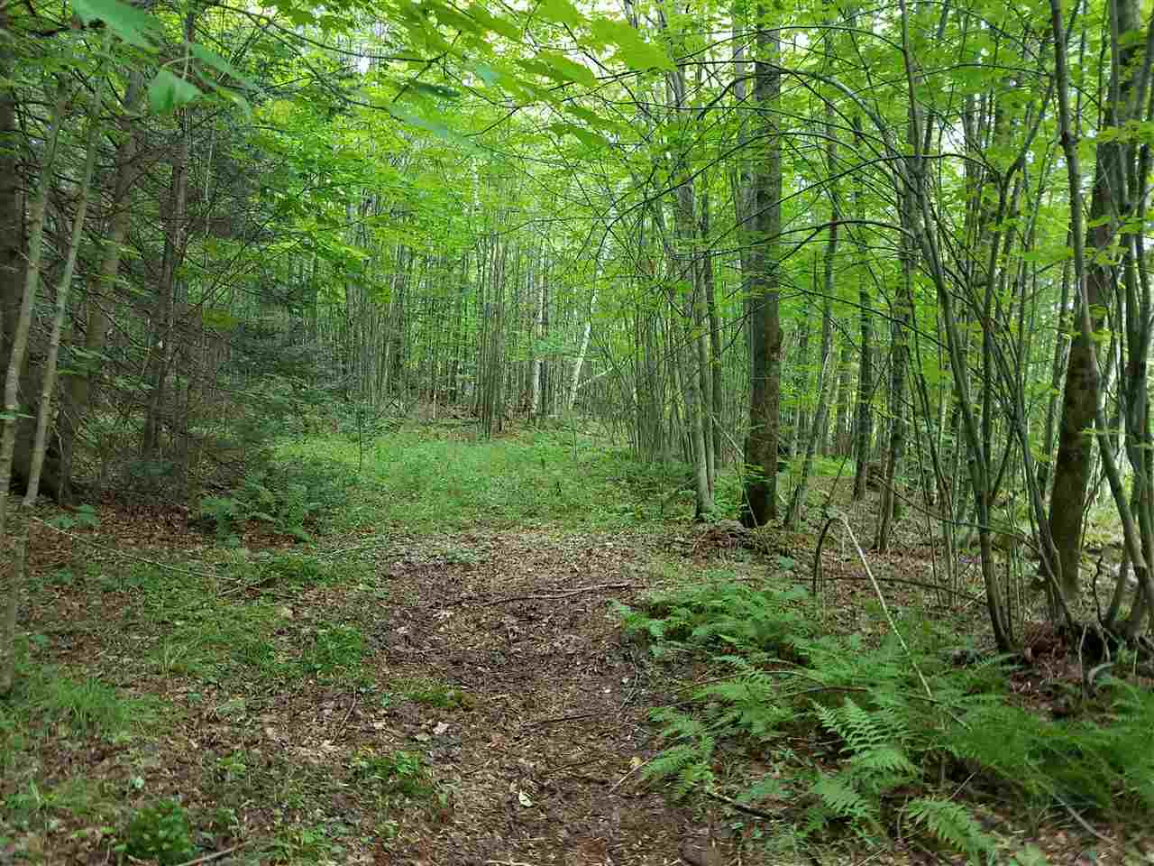 79 Mountain View Road Lempster, NH 03605 - Photo 2 of 17