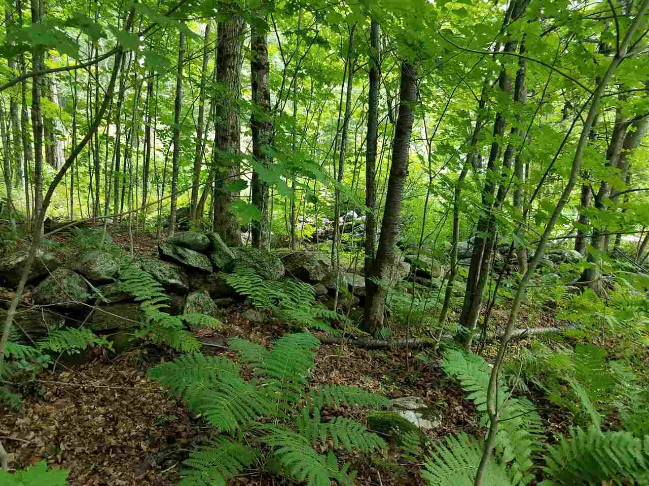 79 Mountain View Road Lempster, NH 03605 - Photo 12 of 17