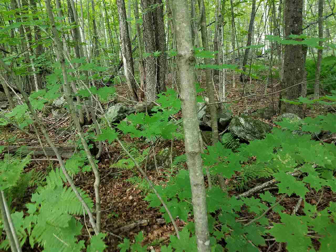 79 Mountain View Road Lempster, NH 03605 - Photo 13 of 17
