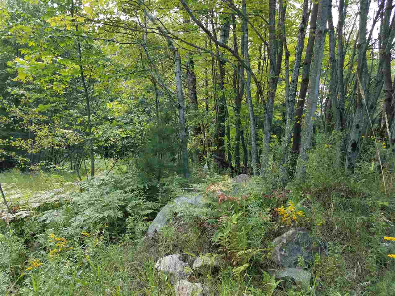 79 Mountain View Road Lempster, NH 03605 - Photo 15 of 17